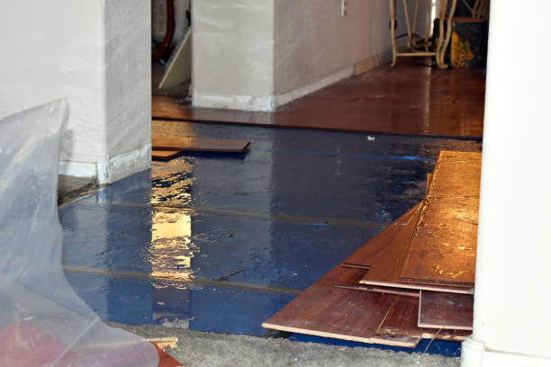 Professional Basement Flood Cleanup technician working in Moulton, AL